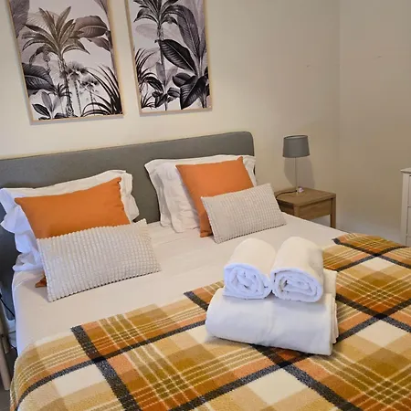 Olive Tree Penthouse アパート *