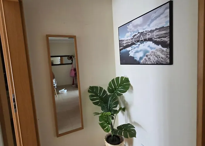 Olive Tree Penthouse * タヴィラ