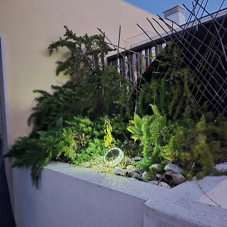 Olive Tree Penthouse
